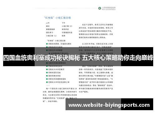 四国血统奥利塞成功秘诀揭秘 五大核心策略助你走向巅峰