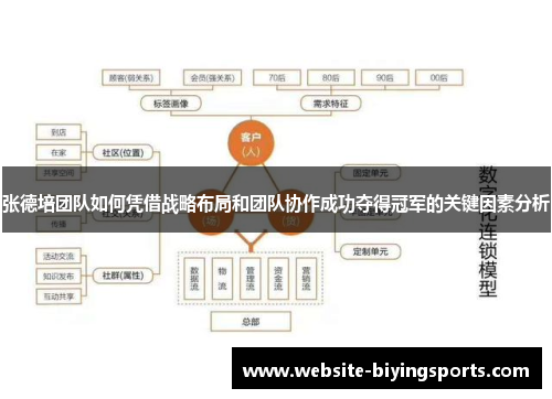 张德培团队如何凭借战略布局和团队协作成功夺得冠军的关键因素分析