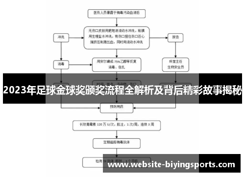 2023年足球金球奖颁奖流程全解析及背后精彩故事揭秘