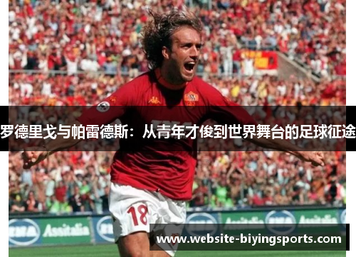 罗德里戈与帕雷德斯:从青年才俊到世界舞台的足球征途 罗德里戈与帕雷德斯:从青年才俊到世界舞台的足球征途