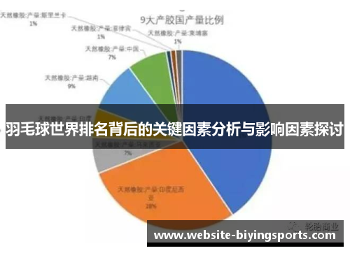 羽毛球世界排名背后的关键因素分析与影响因素探讨